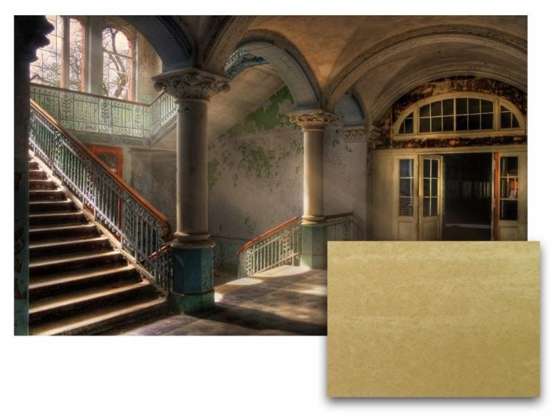Fellert Vs Usg Acoustical Plaster Design Strategies
