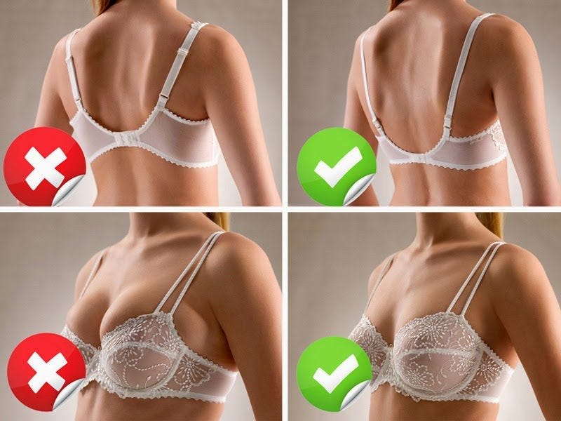jockey padded sports bra