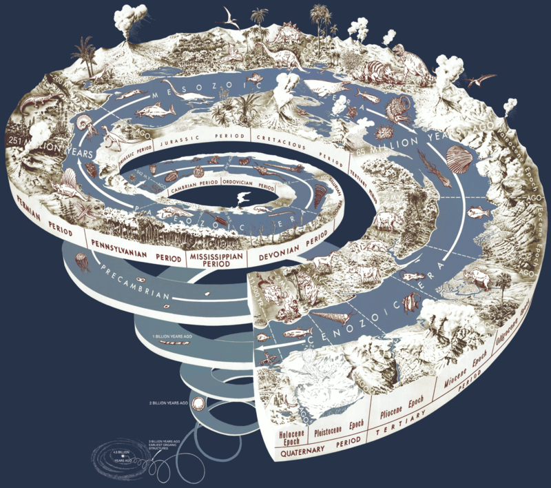 History of Life on Earth Geological Time Spiral