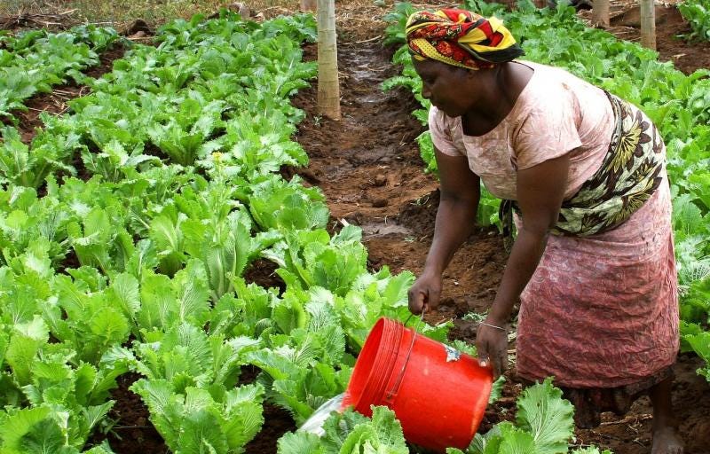Using Evidence To Reduce Poverty In The World s Poorest Places