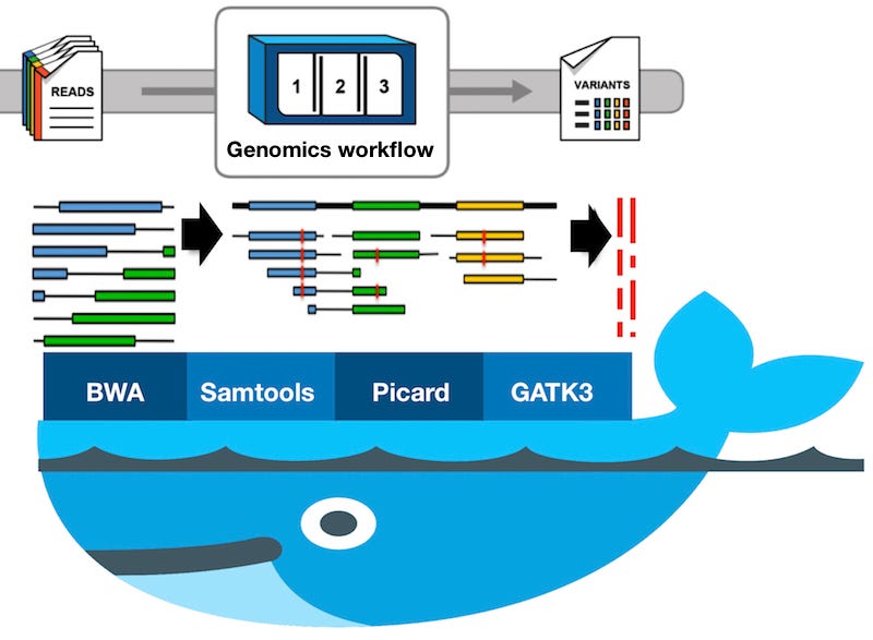 Using Docker in genomics workflows - Into the genomics - Medium