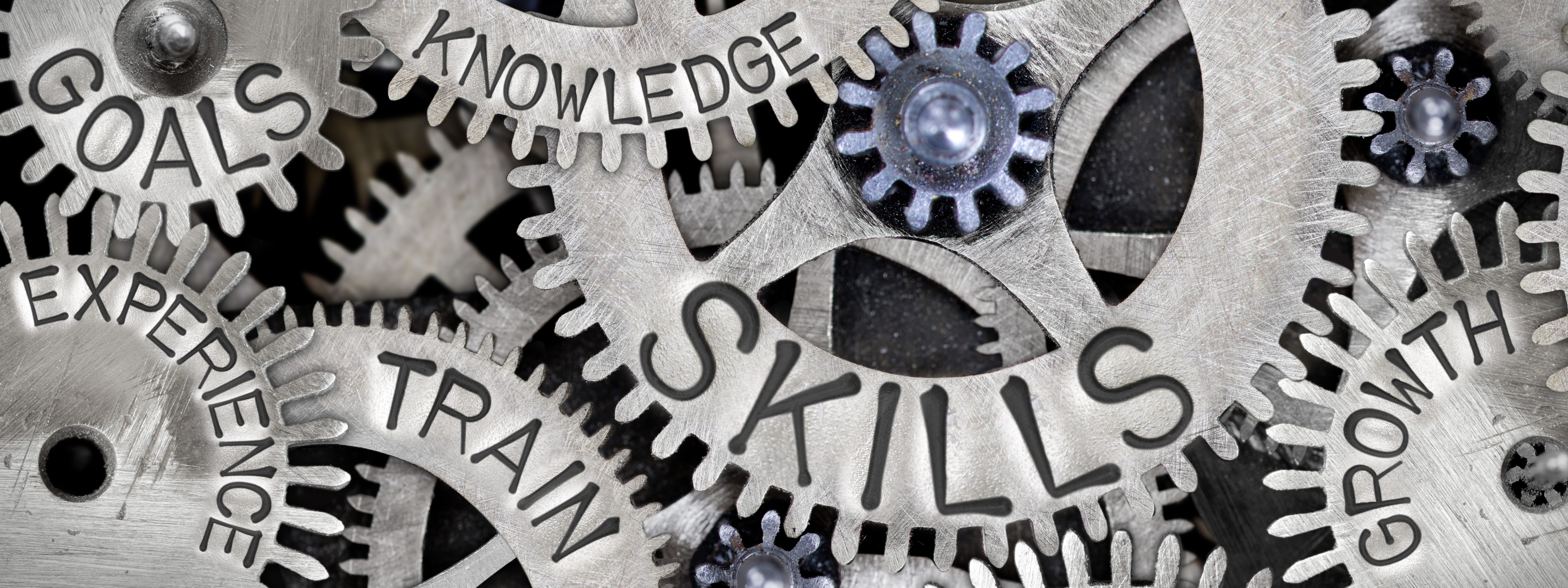 Many interconnected silver gears with the following words on them: Skills, Train, Knowledge, Goals, Expertise, Growth