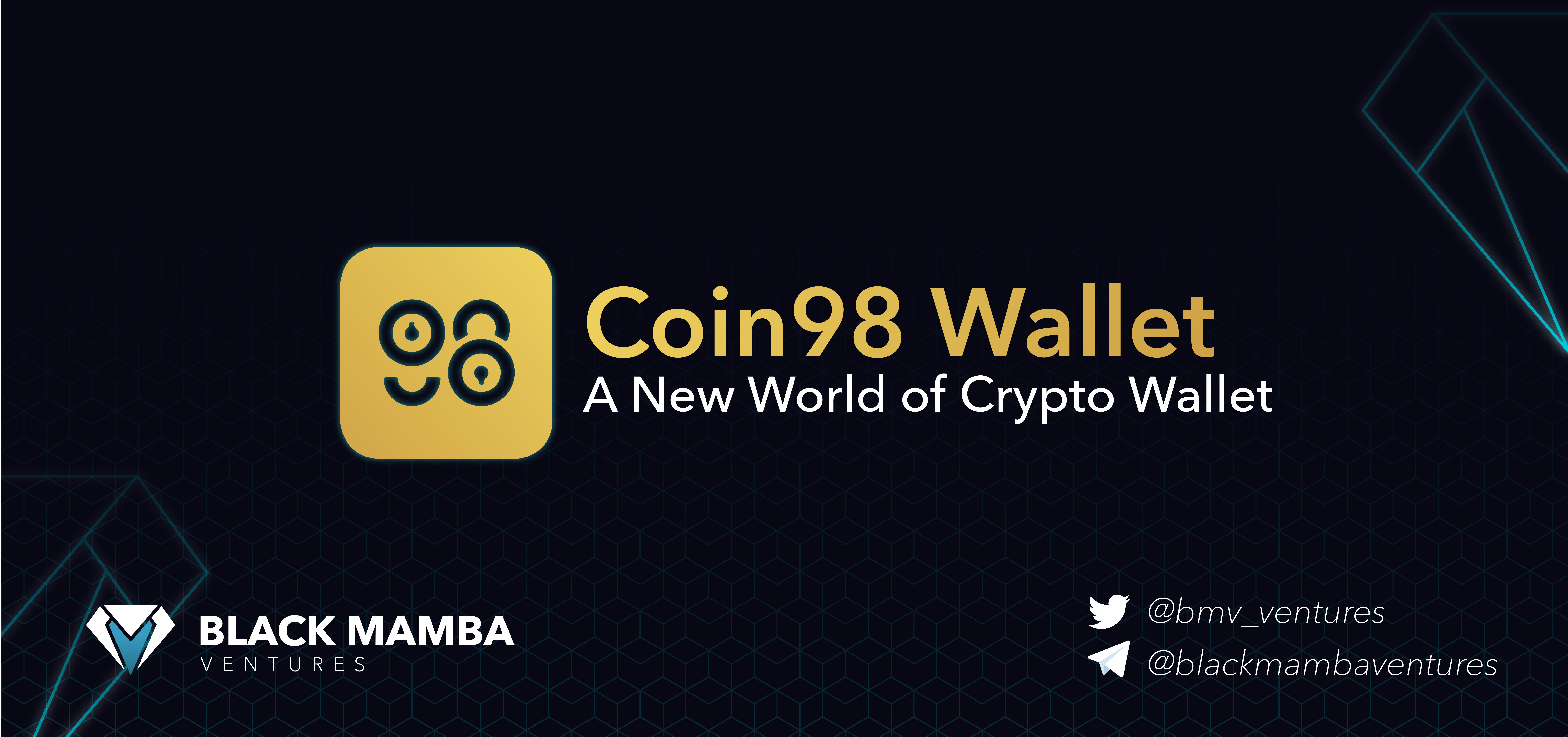 Coin98 — A New World of Crypto Wallet | by Black Mamba ...