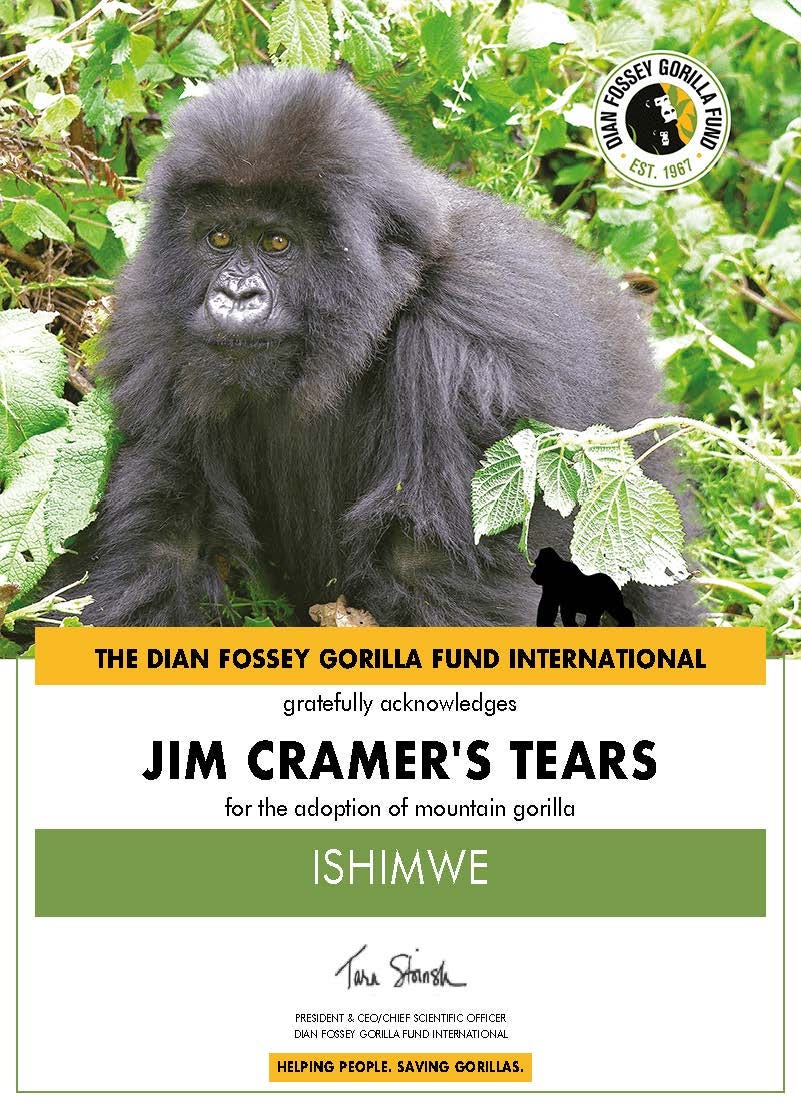 Why Is Wallstreetbets From Reddit Adopting Gorillas By Sam Westreich Phd Mar 21 Medium