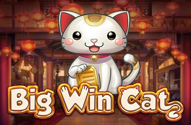 Zero wager free spins free Zero wager free spins free