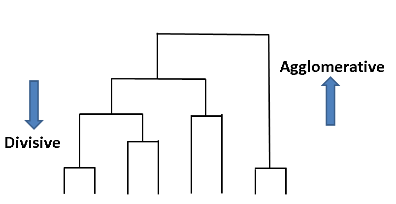 Hierarchical Clustering Explained By Soner Yildirim Towards Data Science
