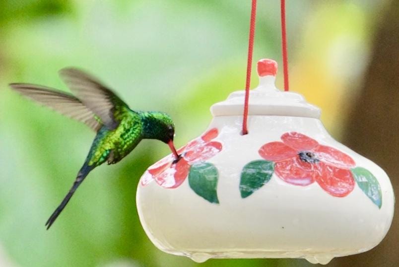 Best Bee Proof Hummingbird Feeders Best Hummingbird Feeders Medium