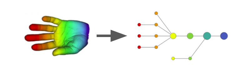 topology deep learning