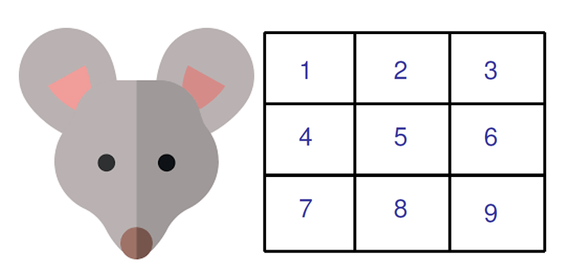 The Markov Mouse Towards Data Science
