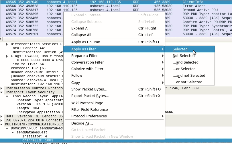 wireshark capture filter rdp