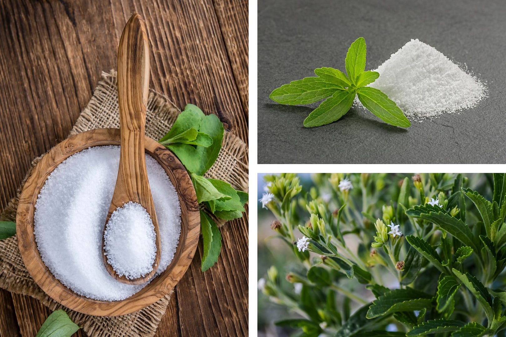 หญ้าหวาน