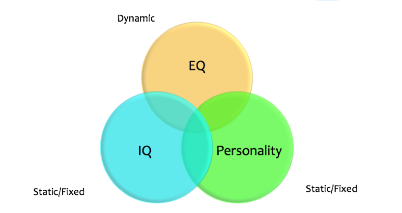 Emotional intelligence vs personality