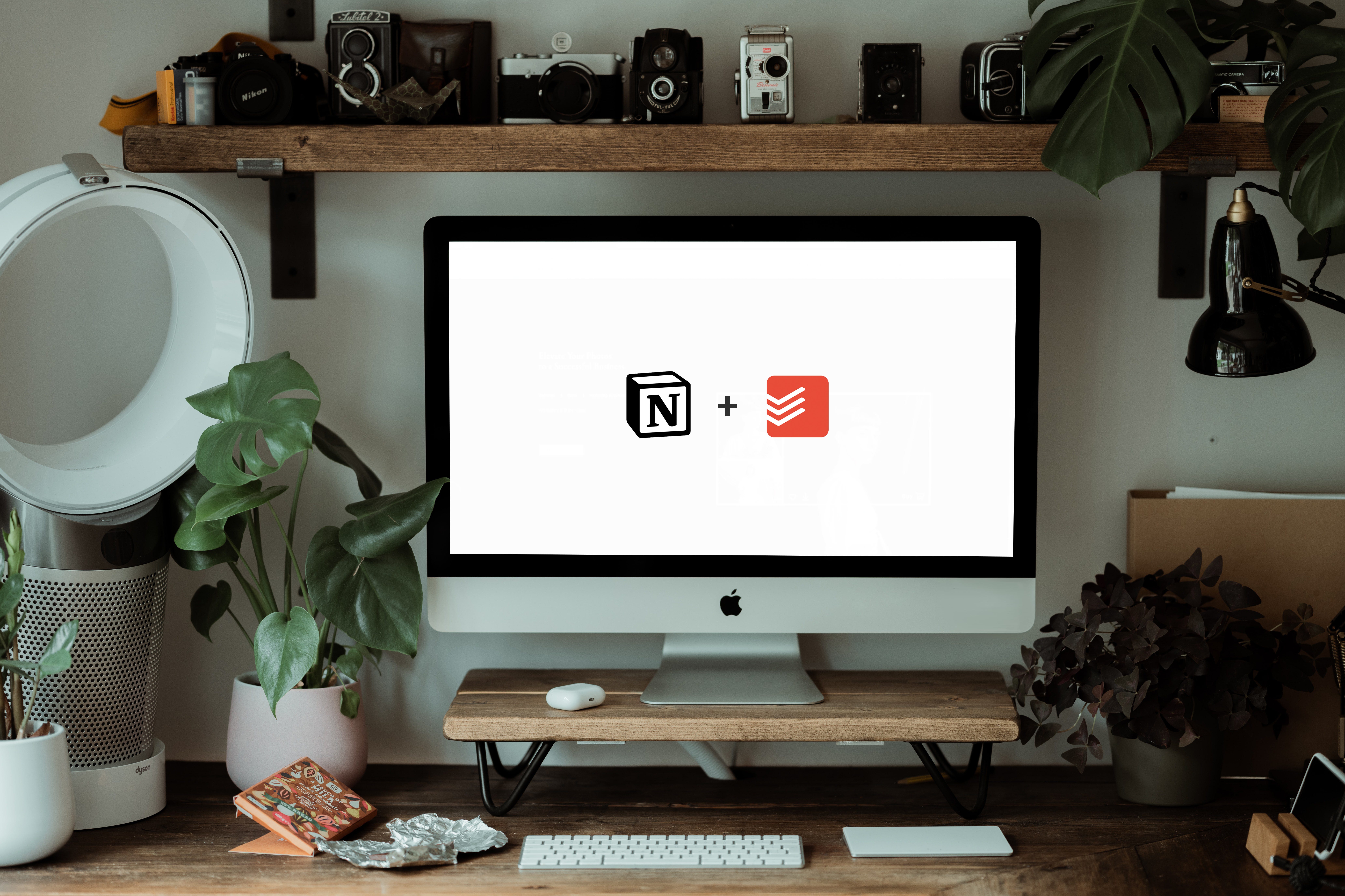 Notion Notion