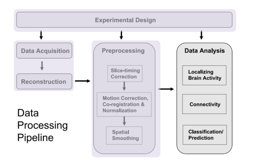 Identifying Resting-State Networks from fMRI Data Using ICAs | by Gili  Karni | Towards Data Science