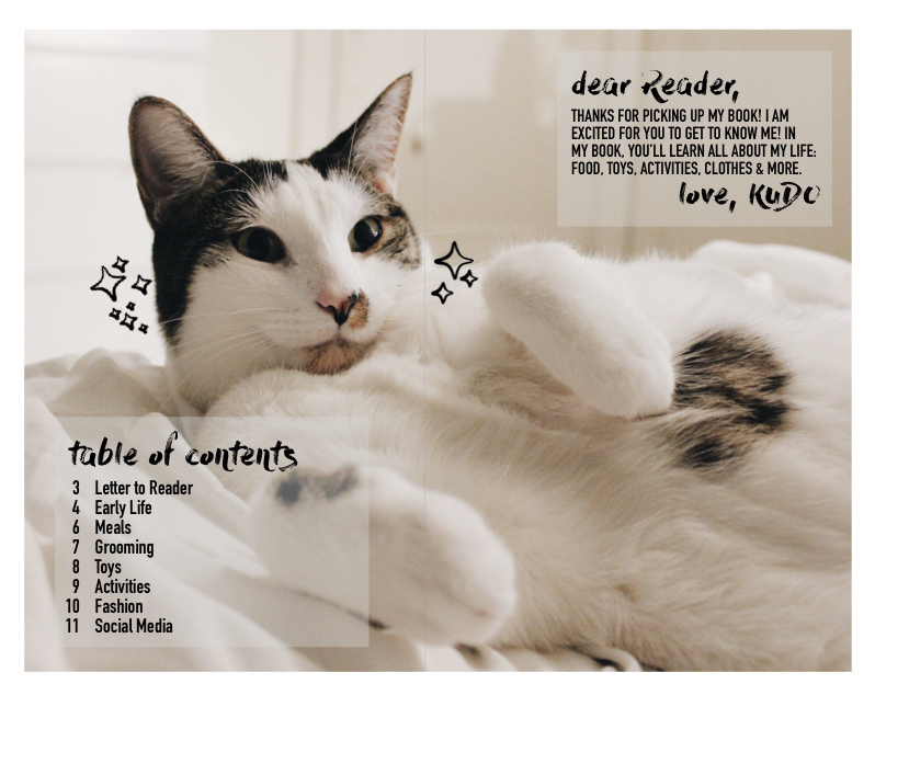 Project 5: Documentation. My book was inspired by my cat Kudo. At… | by ...