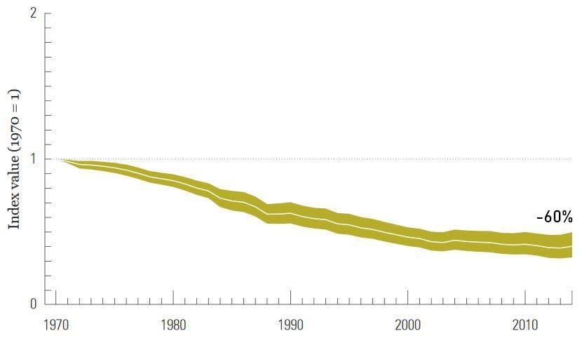 Where Will Our Food Come From This Article Was Written On April 16 By Les Greniers D Abondance Medium