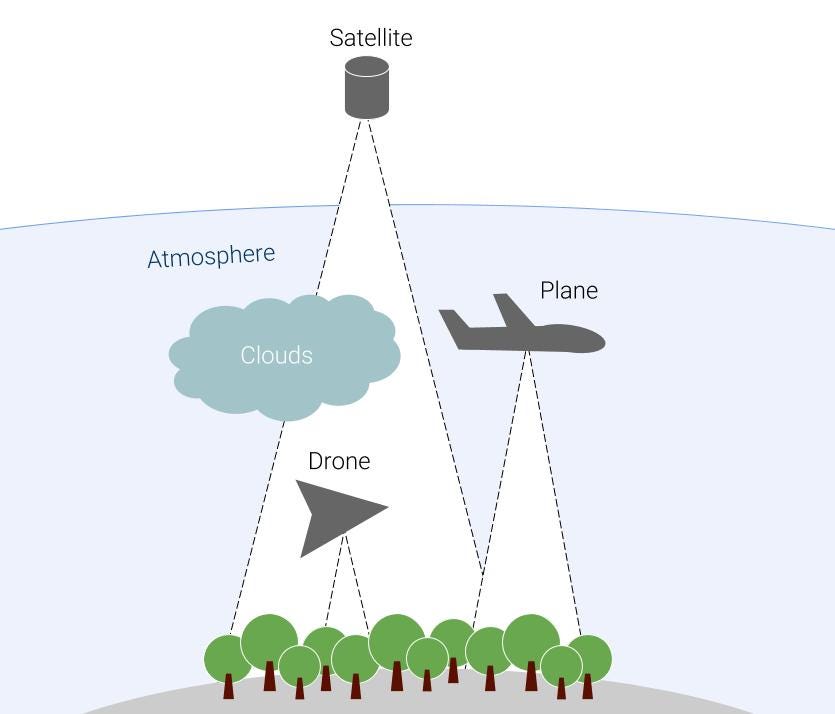 Remote Sensing For Forest Landscapes By Alexander Watson Openforests Medium