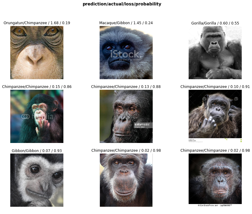 A State Of The Art Image Classifier On Your Dataset In Less Than 10 Minutes By Salim Chemlal Towards Data Science