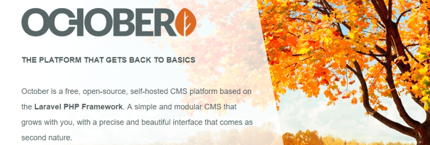 Best Cms Built On Laravel That You Should Know By Vikas Jawla Medium