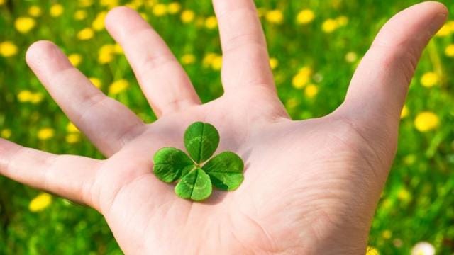 gagner sa vie aux paris sportifs c est possible by l entrepreneur francais medium