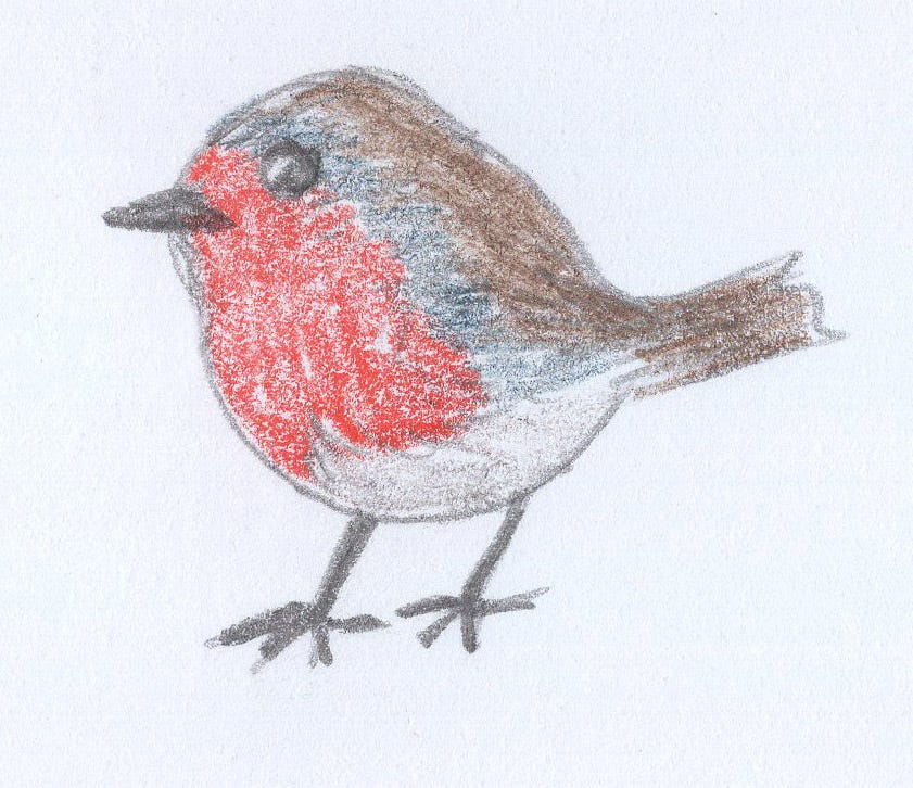 How to Draw a Robin. Still a brown and red blob, but with a… | by Susan ...