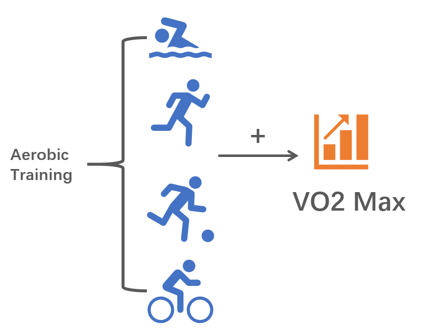 aerobic training effect garmin