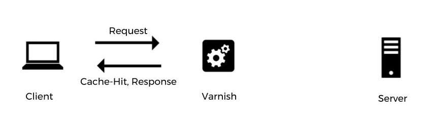 Varnish A Caching Love Story Author Razvan Grigore By About You Tech About You Tech Blog Medium Varnish A Caching Love Story Author Razvan Grigore By About You Tech About You Tech Blog Medium