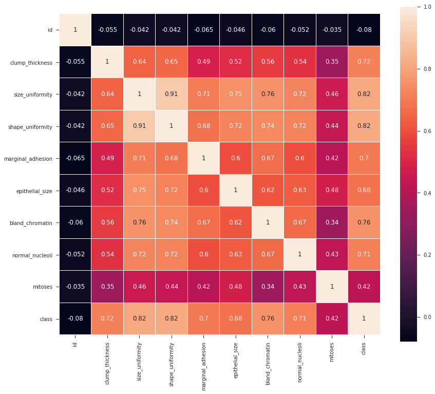 Exploring Breast Cancer Data set. Visualising and exploring Breast Cancer… by Anchit Jain