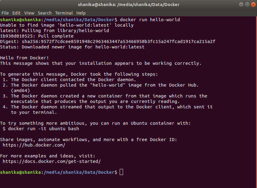 Docker Ubuntu Python