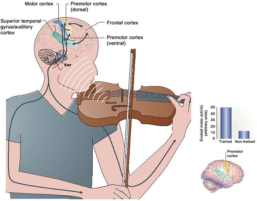 Music The Key to Enhancing the Cognitive Abilities of Students by