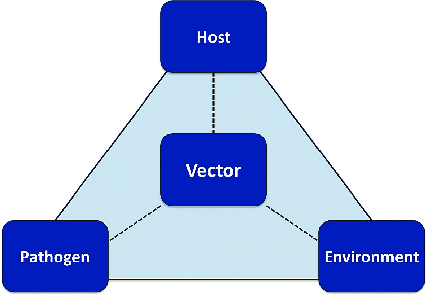 Epidemiology and Infectious Diseases SkillUp Ed Medium