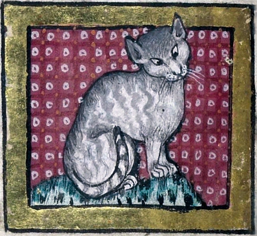 The Lives and Deaths of Medieval Cats | by Nicolas Carteron | History ...