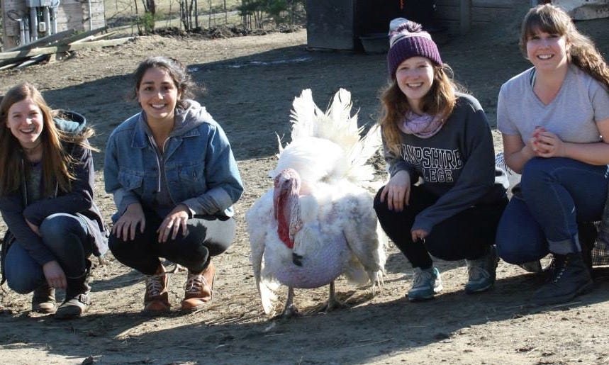 turkey sanctuary near me