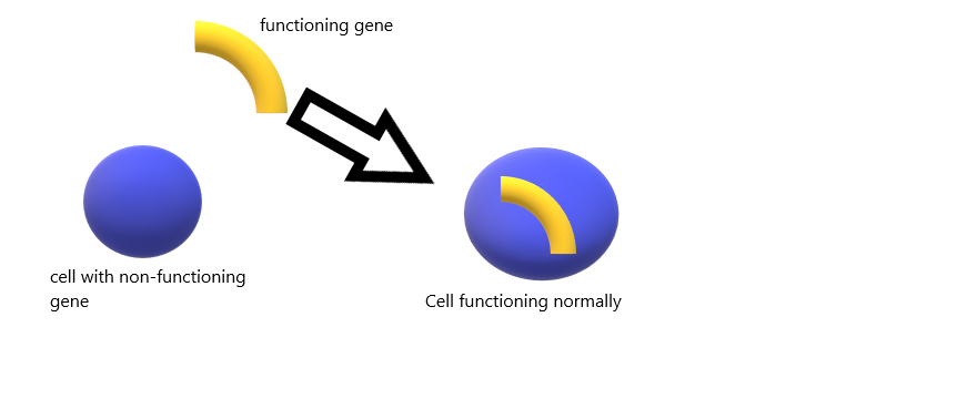 Gene Therapy What Is It Medium