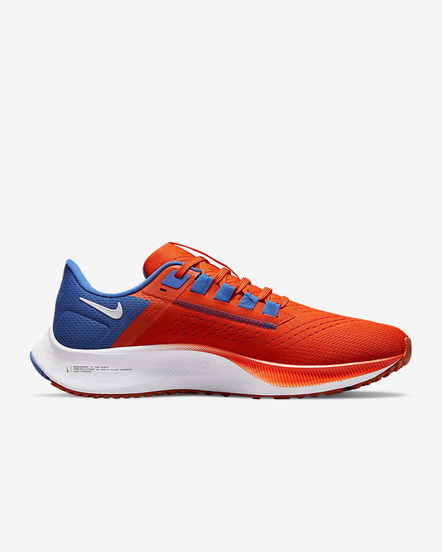 Florida Gators Nike Air Zoom Pegasus 38 