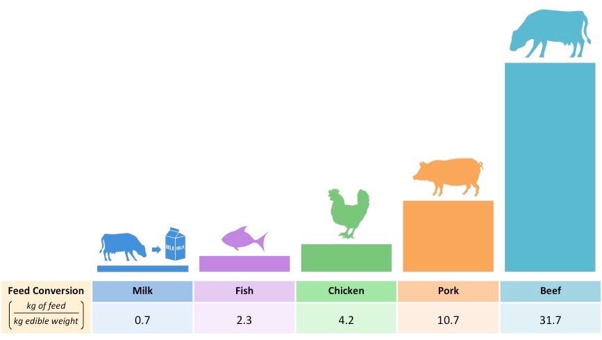 what is feed conversion ratio in fish