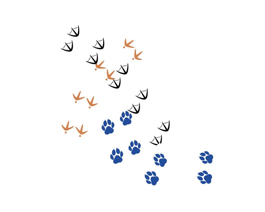 One-way Analysis of Variance (ANOVA) with Python - Analytics Vidhya ...