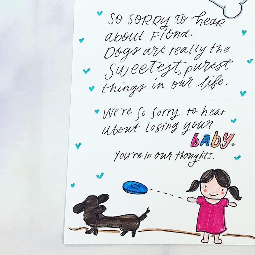 What to Write in a Pet Sympathy Card by Punkpost