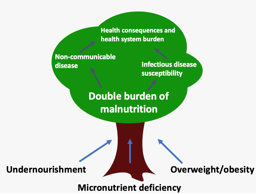 Health consequences of malnutrition and its triple burden in Ecuador