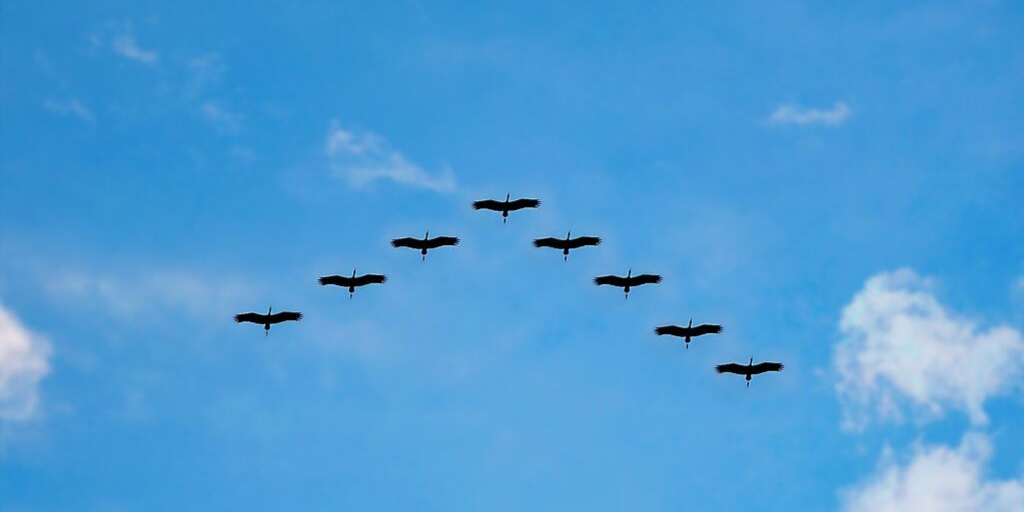 Glilot Capital | VC 3.0: The Next Generation of Venture Capital