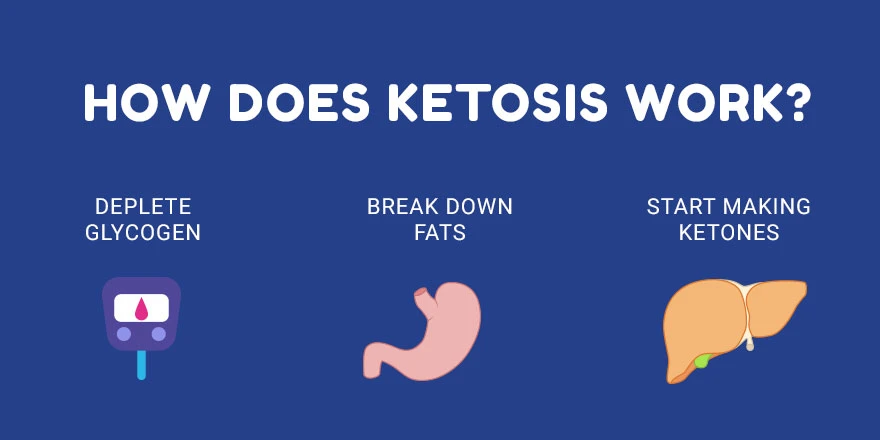 How does Ketosis work?