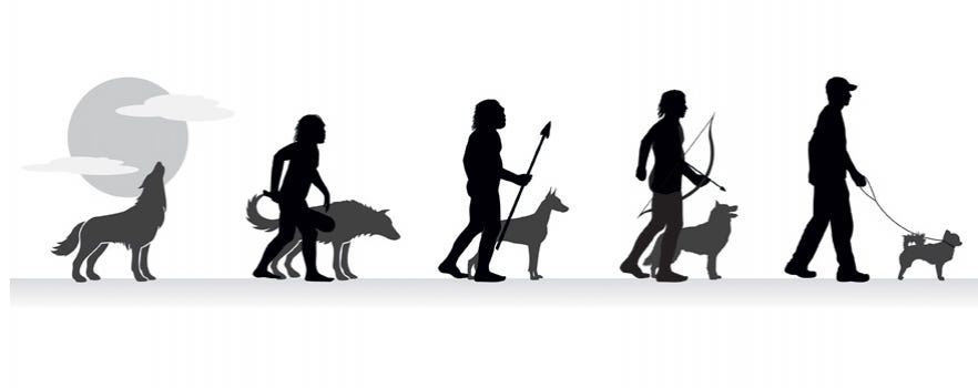 Ancient Dog and Human