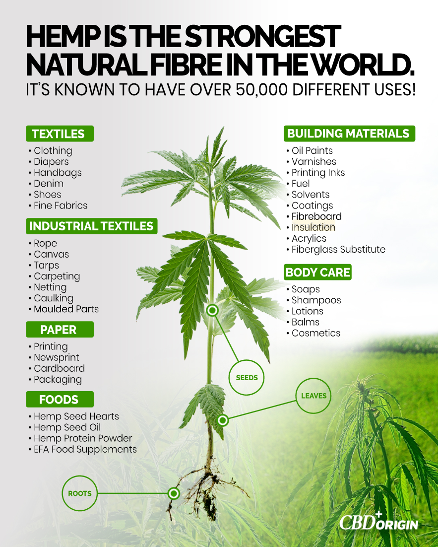 Cannabis Chart Identification