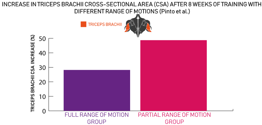 Does Range Of Motion Matter For Muscle Growth By Dhimant Indrayan House Of Hypertrophy Medium