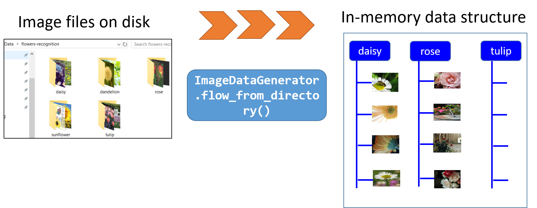 Possible Unrelenting shelf A Single Function to Streamline Image Classification with Keras - KDnuggets