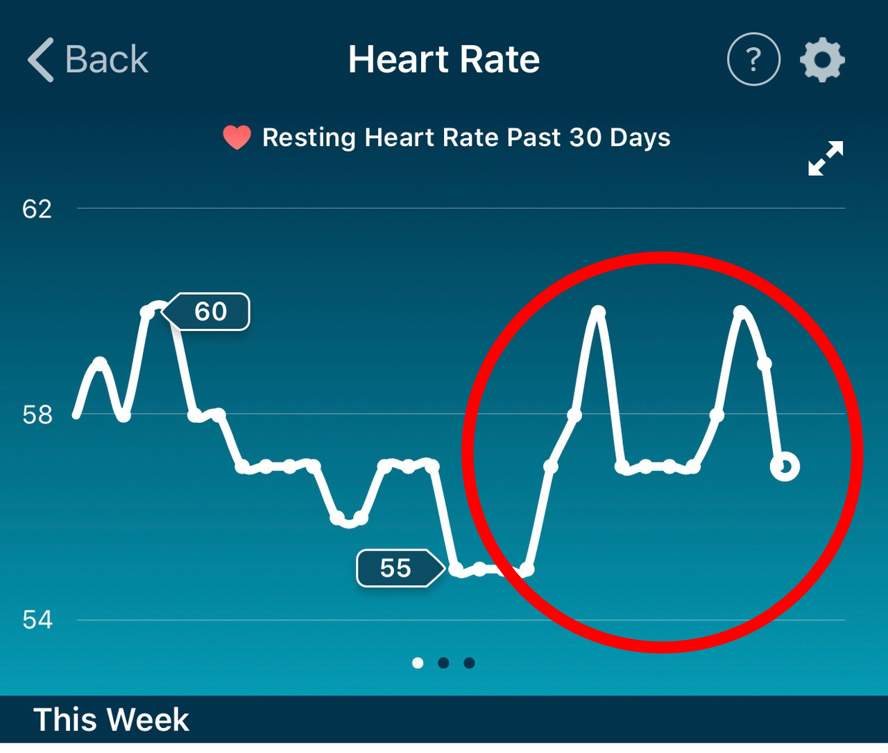 heart rate peak fitbit