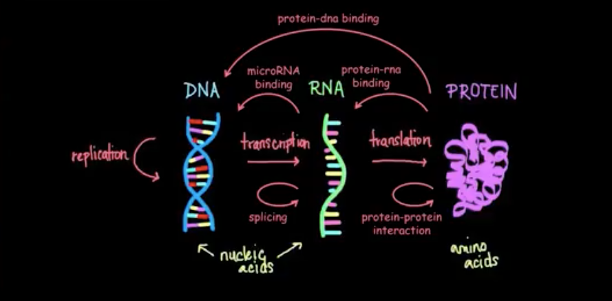towards data science