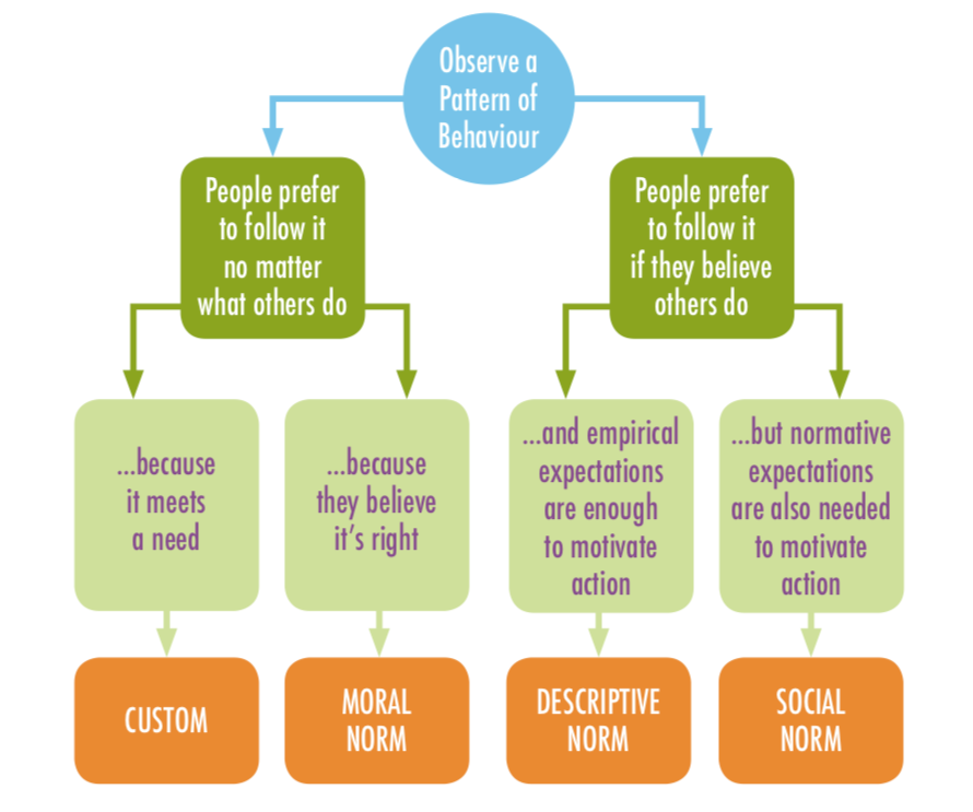 Building Blocks What’s in a Norm? by Katie Williamson Behavior