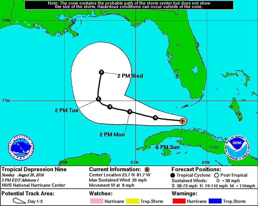 Ecmwf hurricane track contactkesil