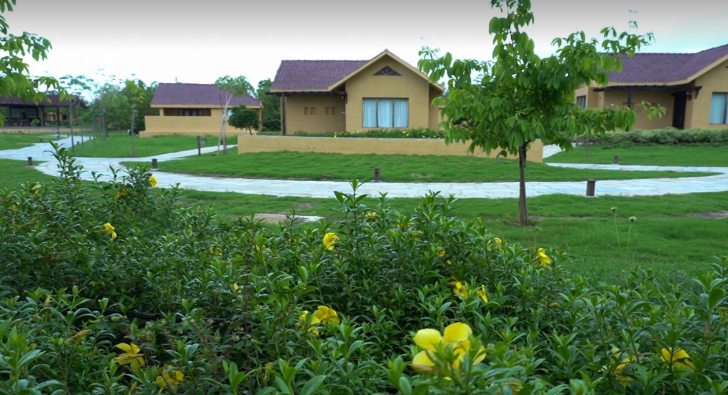 Rejuvenate at Tadoba